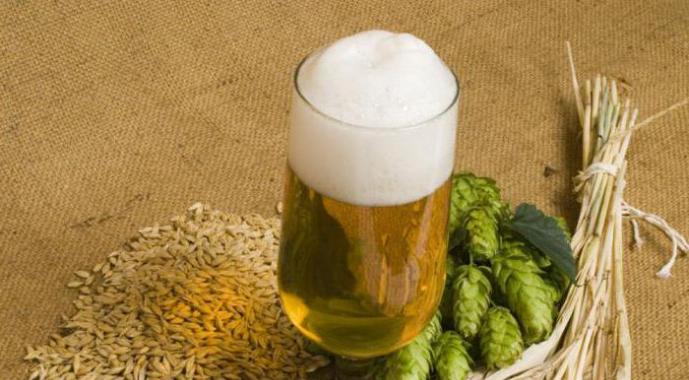 Bagaimana cara membuat wiski dari bir di rumah. Apakah mungkin menyuling bir menjadi minuman keras?