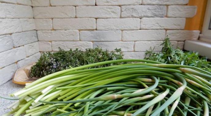 Frecce all'aglio in salamoia per l'inverno: le migliori ricette, caratteristiche di cucina e consigli